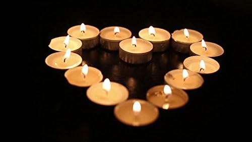 Zuvo Tea Light Candles 8 Hour Burn 50 Pack Unscented Long Lasting White