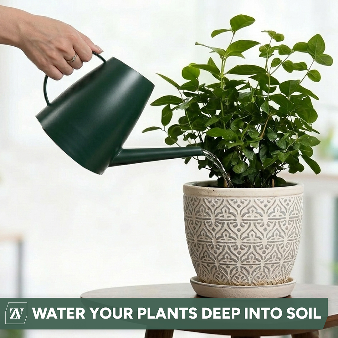 Zuvo Indoor Watering Can 1.8L Green Mini Watering Can for House Plants