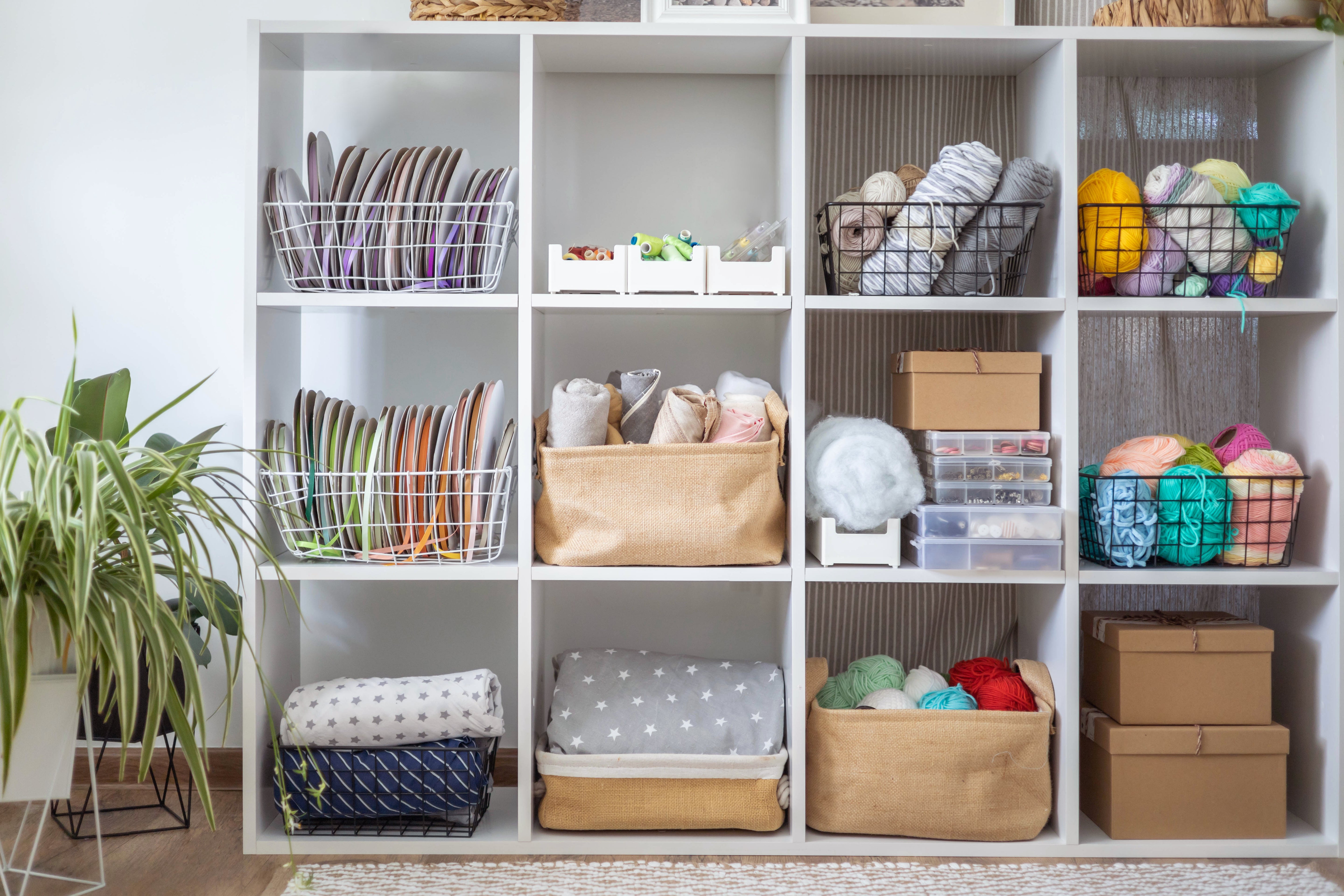 Storage & Organisation